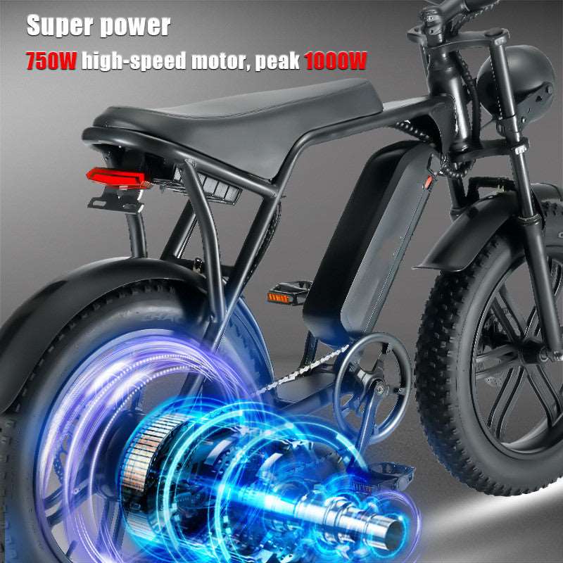 20 Inch 48 V Power Bicycle Fat Tire Snow