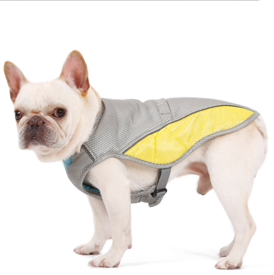 Heatstroke And Cooling Dog Clothes